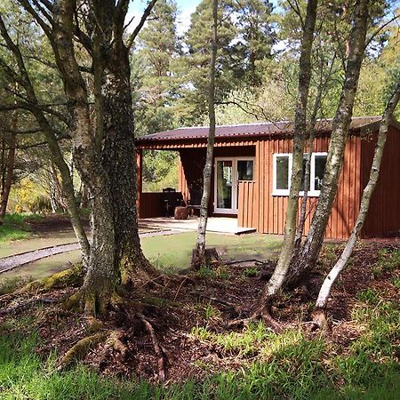 The Cabin At Easter Arr Auldearn Luaran gambar