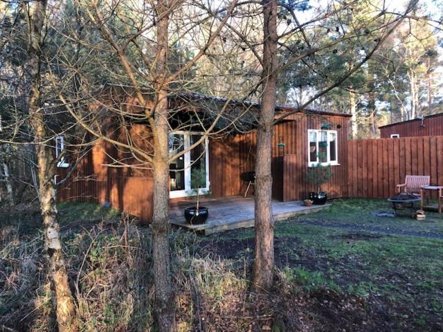 The Cabin At Easter Arr Auldearn Luaran gambar